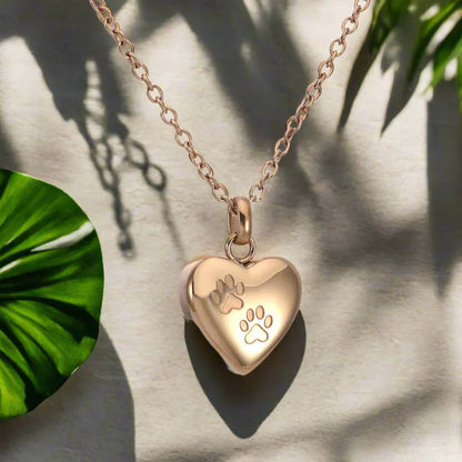 Collier a La Mémoire de Nos Fidèles Compagnons