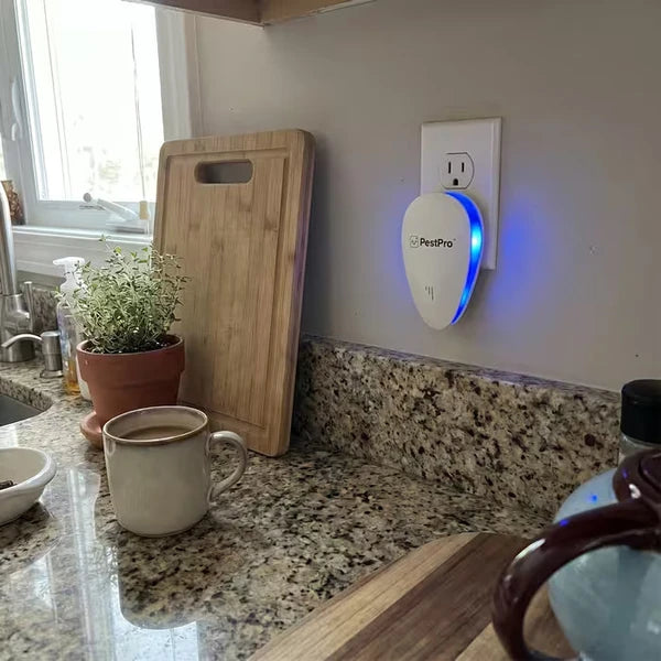 Installation de l'Olyven dans la cuisine